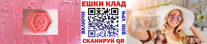 Ecstasy Philipp Plein Волгоград