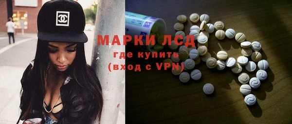 spice Новодвинск