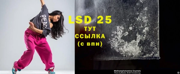 spice Новодвинск