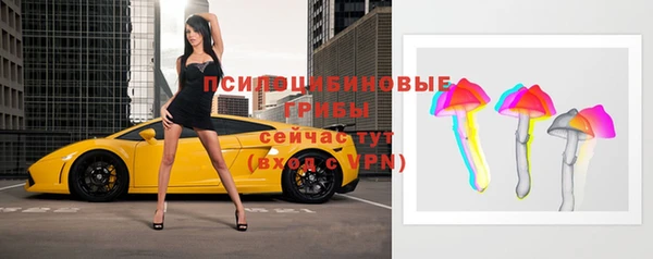 герыч Новозыбков