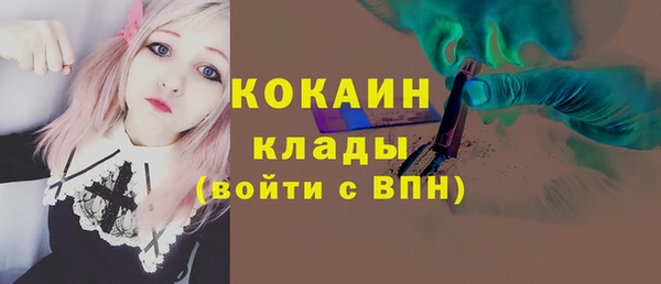 spice Новодвинск