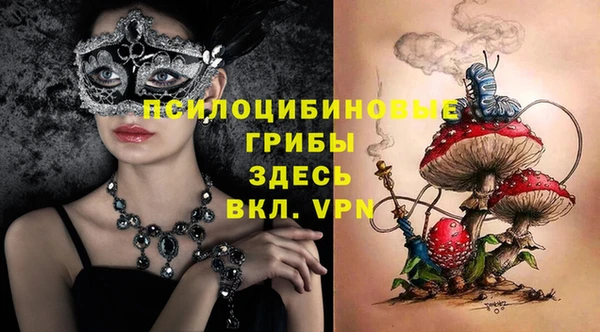 spice Новодвинск