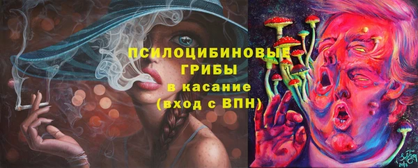 spice Новодвинск