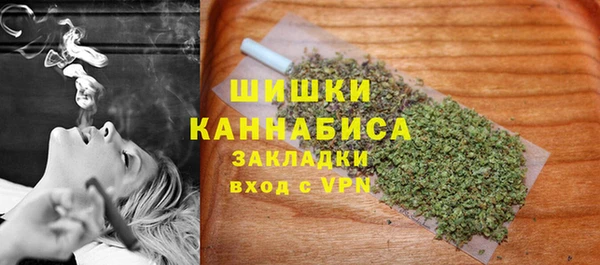 spice Новодвинск