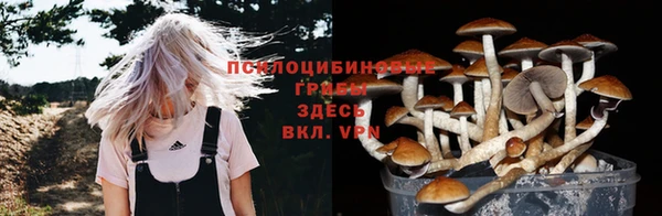 эйфоретик Новокубанск